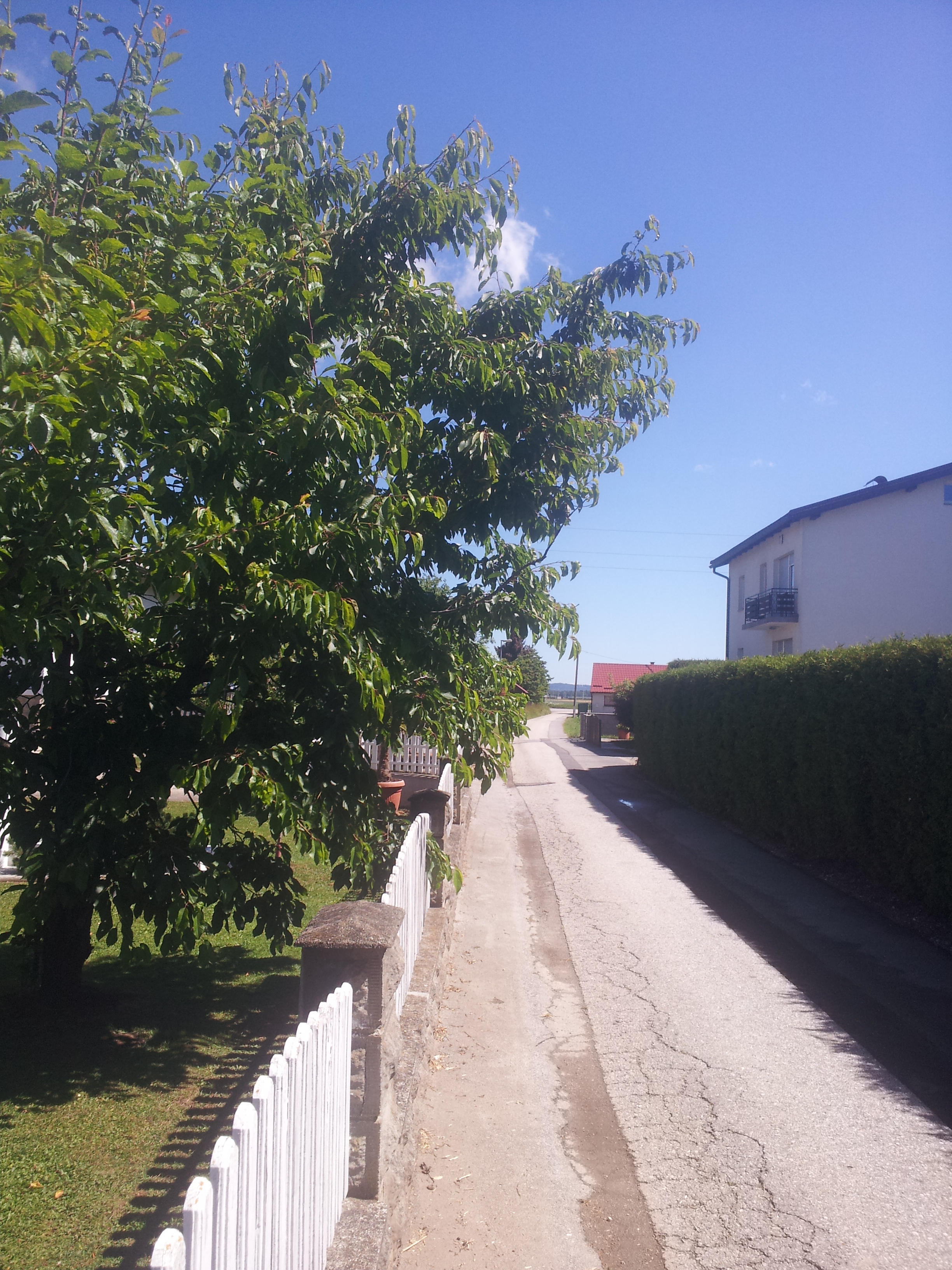 Slika 1 (002)
